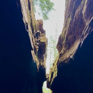 Distance Reiki with Amber